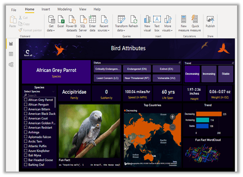 Creating a Report