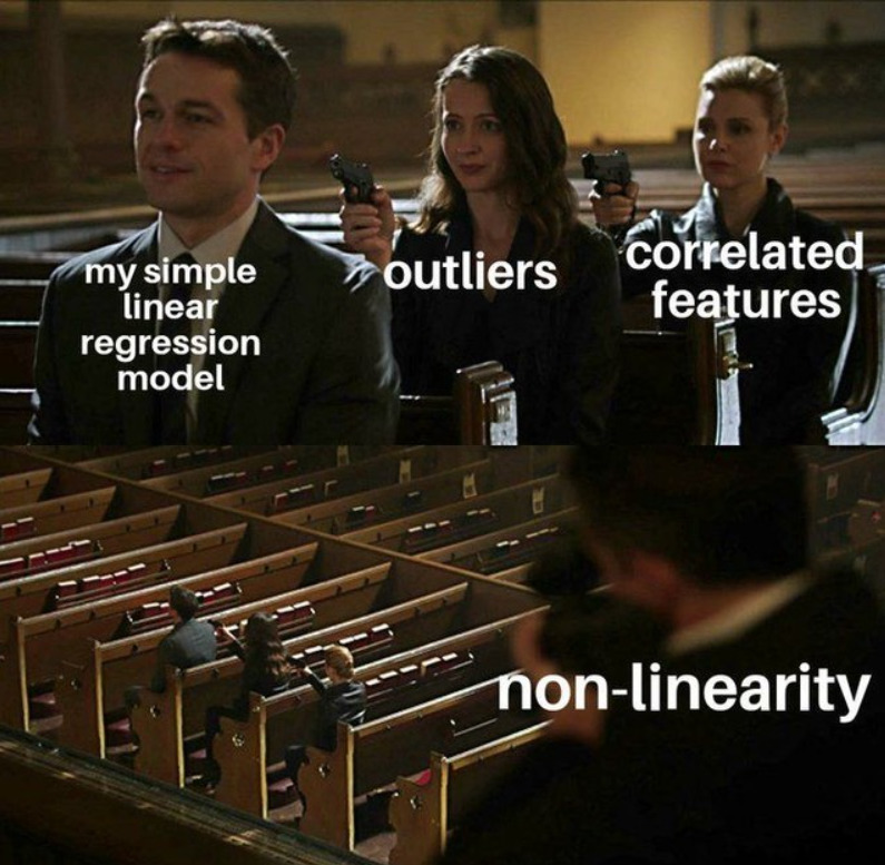 Data scientist's meme