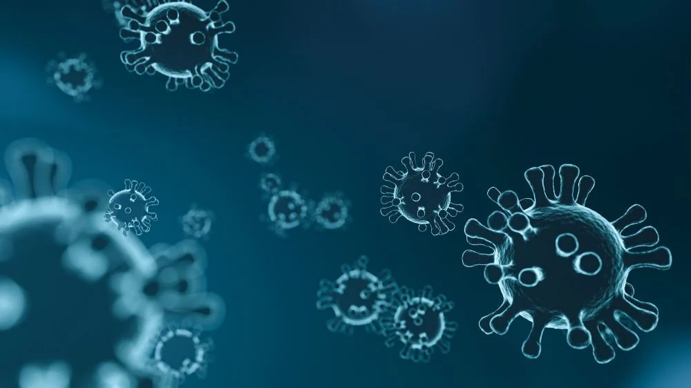 Coronavirus under a microscope
