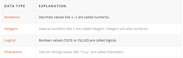 Data type in R programming