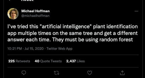 AI memes