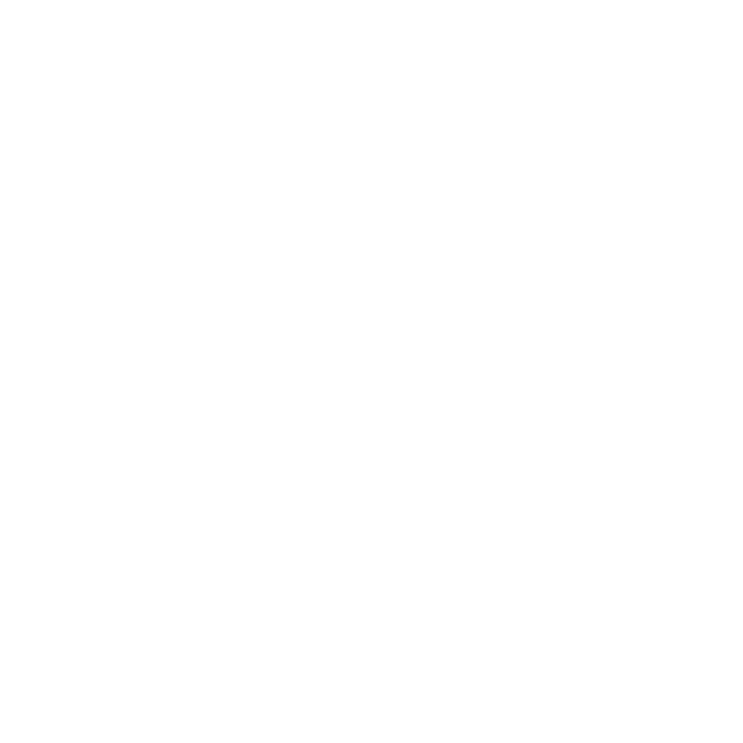 ZenML