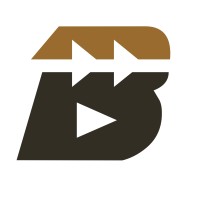 BAYI Capital Management BAYI Capital Management