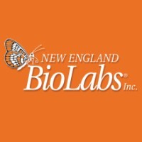 New England Biolabs logo