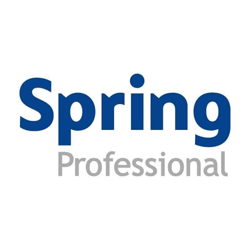 Spring Professional Spring Professional