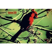 Tone 30 Music logo