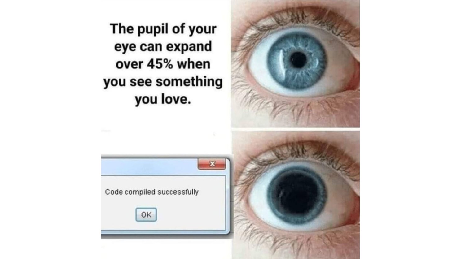 coding meme