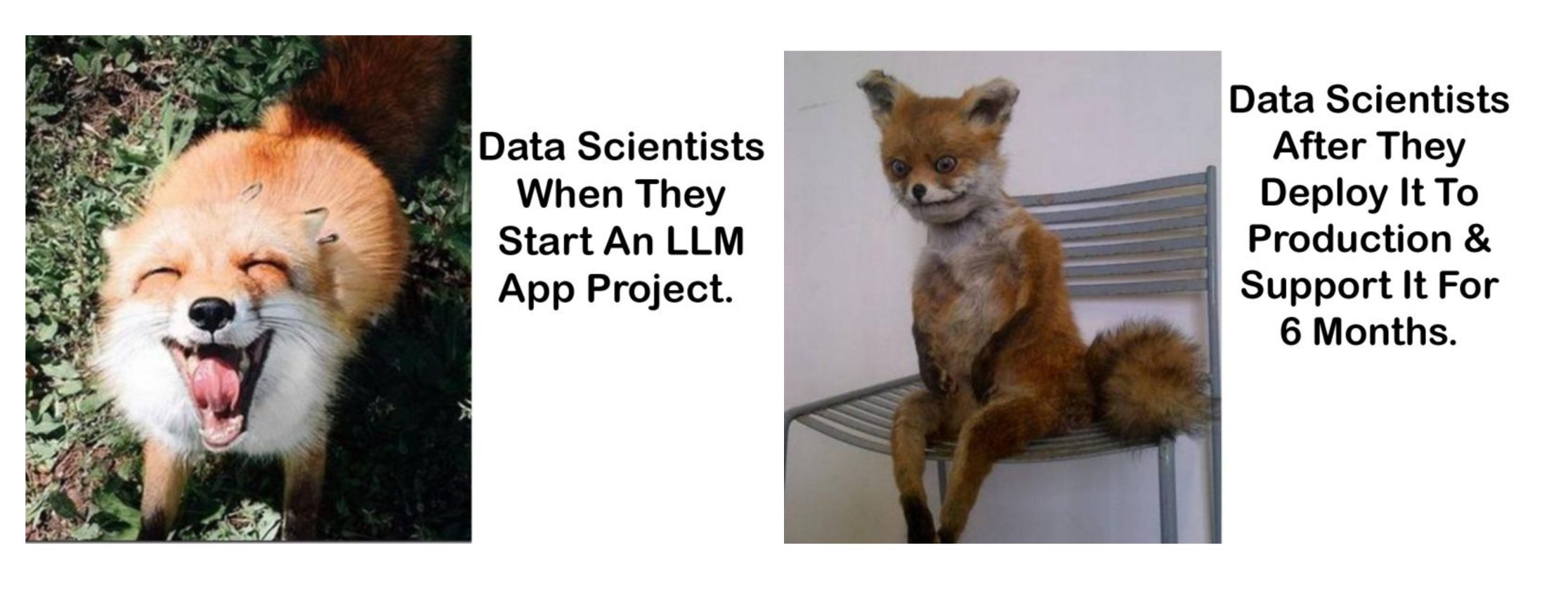 Gen AI Project Meme